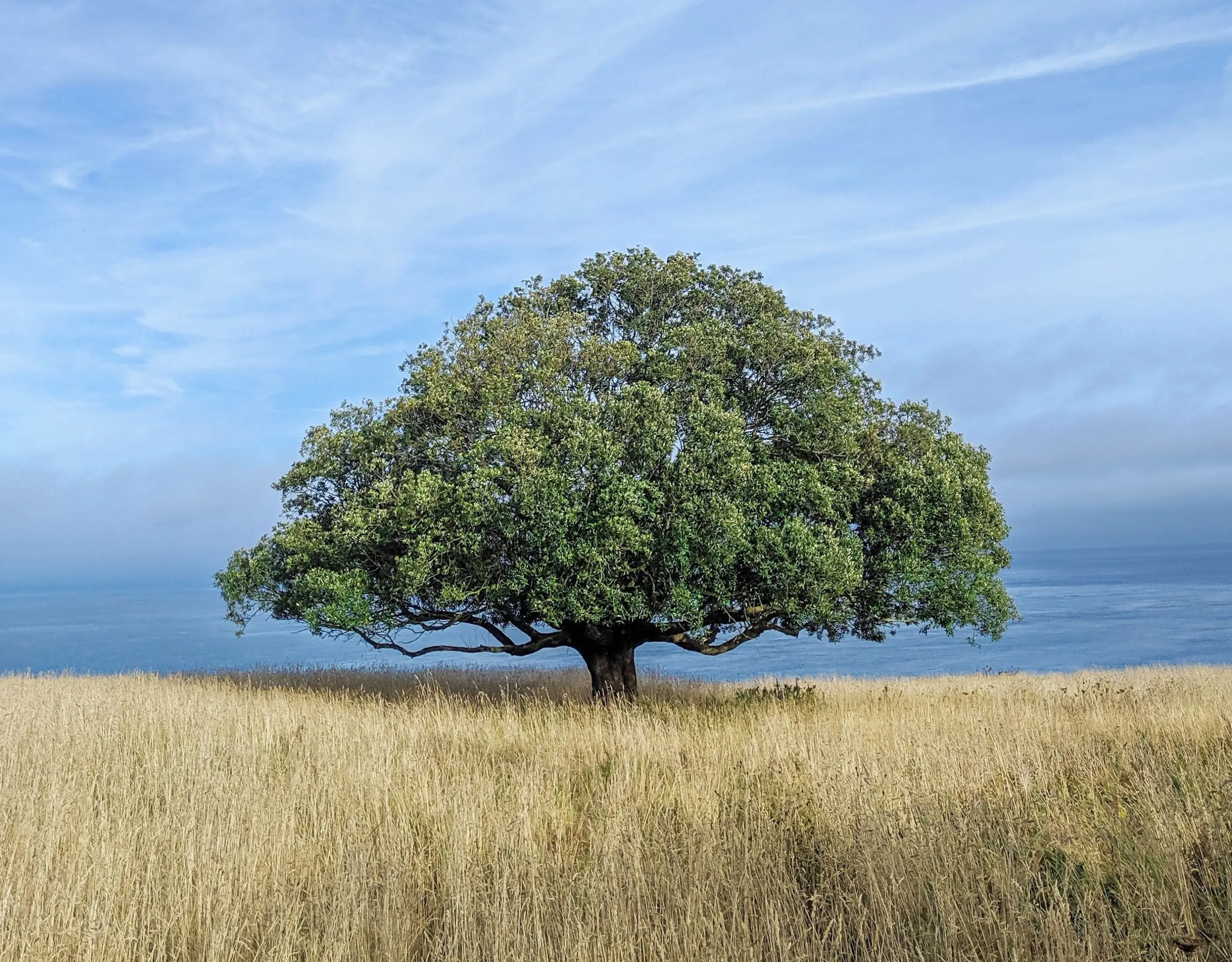 Tall Oaks Equity - Private Lending